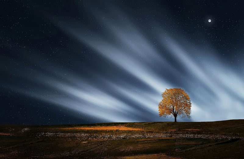 Moonlight backdrop ideas